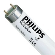 Philips 36W 3600 Lmn 12000K G13 T8 Floresan Ampul
