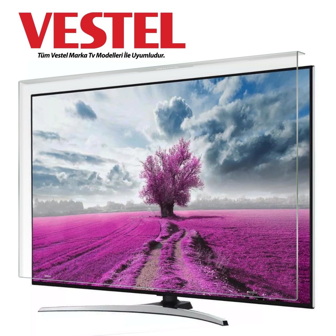Vestel 65UD9650T Uyumlu TV Ekran Koruyucu