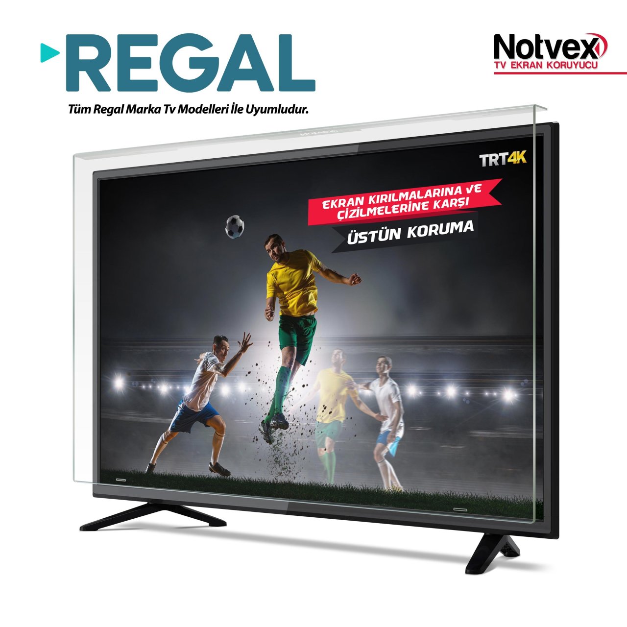 Regal 49R6012F Uyumlu TV Ekran Koruyucu