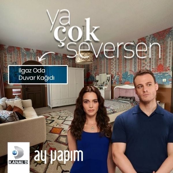 Dizi Ev Dekorasyonları: Ya Çok Seversen