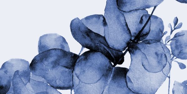 Uva Suluboya Efektli Okaliptüs Lacivert Yaprakları Duvar Kağıdı