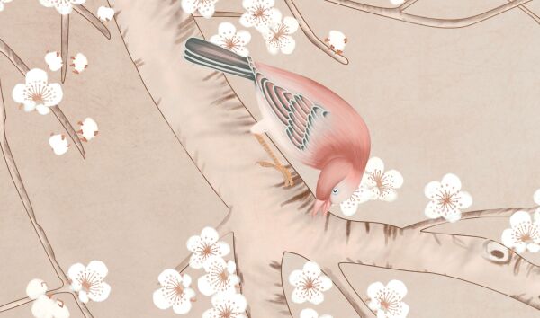 Beyaz Çiçekli Kiraz Ağacı Dalında Kuşlar Bülbüller Duvar Kağıdı