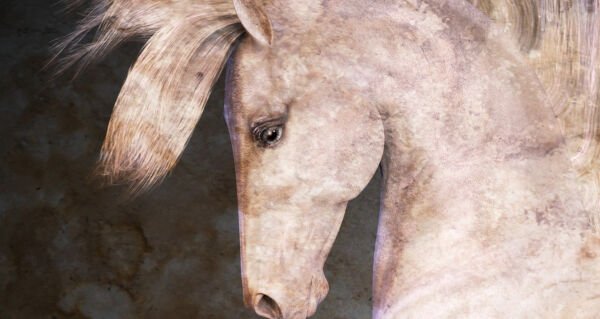 Sulu Boya Efektli Şaha Kalkmış Atlar Duvar Kağıdı
