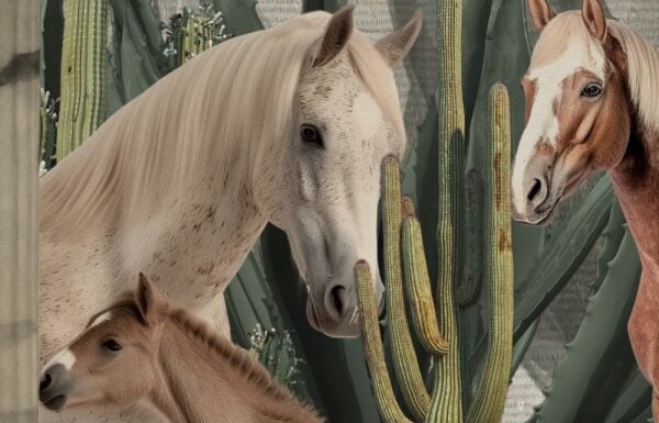 Sütunlar Arasında Yabani Atlar Tasarım Duvar Kağıdı