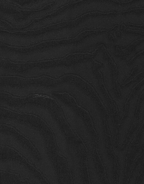 Dolce Gabbana Zebra Siyah Desen Duvar Kağıdı