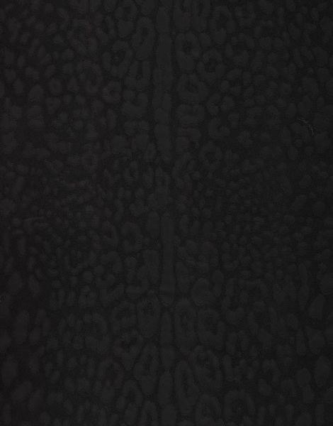 Dolce Gabbana Siyah Leopar Desen Duvar Kağıdı