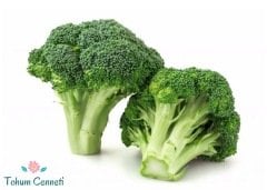 Brokoli Tohumu (50 Tohum)