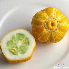 Limon Salatalık Tohumu (5 Tohum)