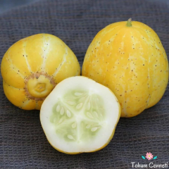 Limon Salatalık Tohumu (5 Tohum)