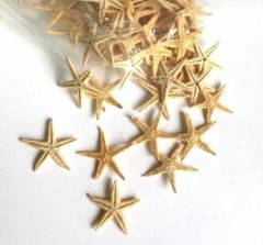 Polyester Deniz Yıldızı Minik Boy Süslemelik 100 Adet Dekoratif Deniz Yıldızları 2-3cm
