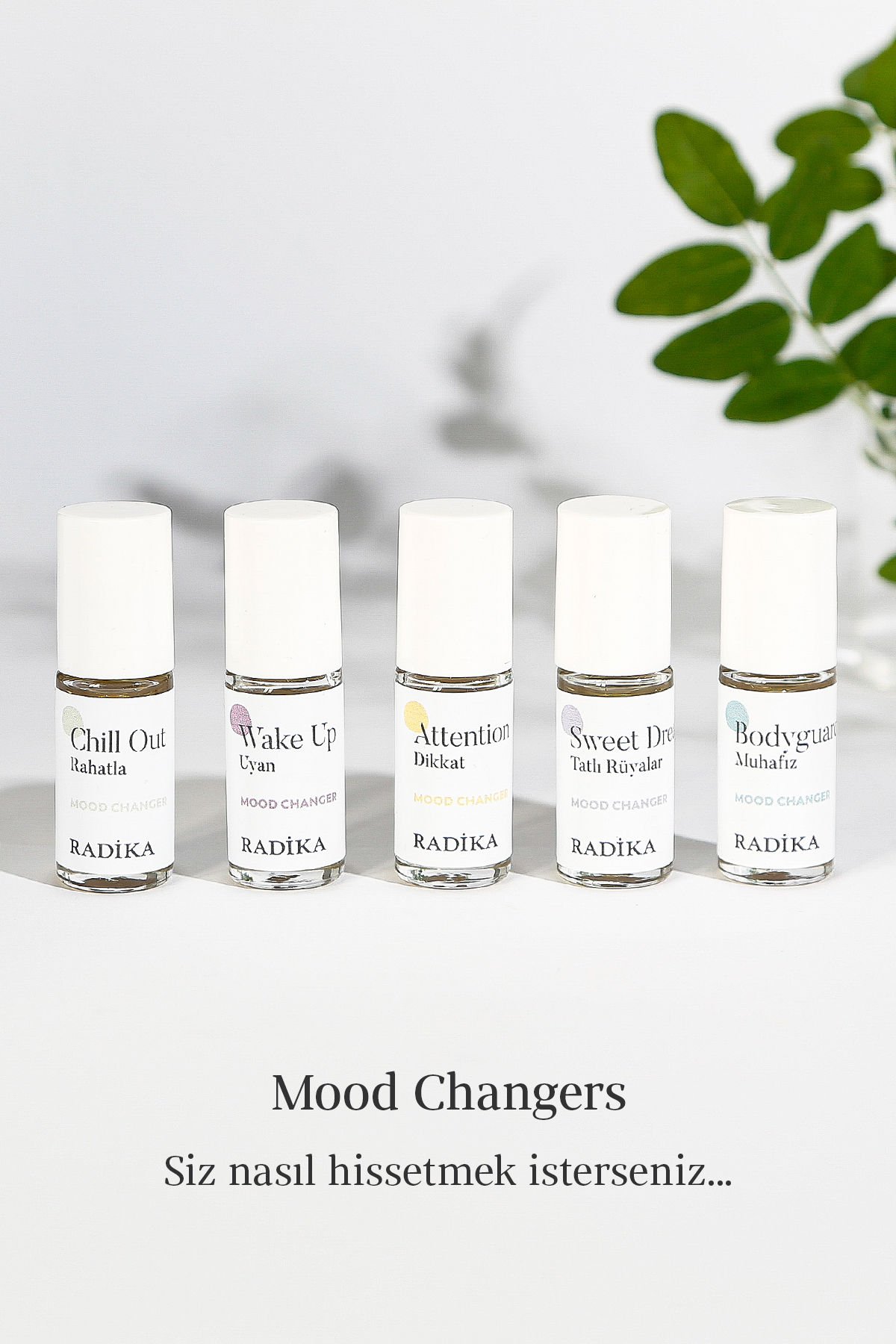 MOOD CHANGERS - (5'li mini-roll set)