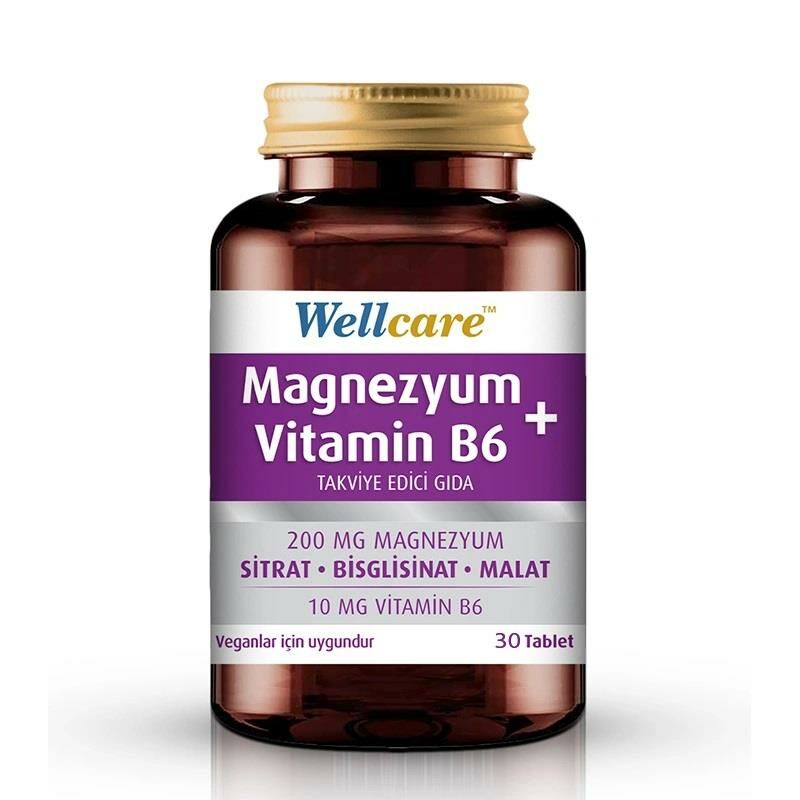 Wellcare Magnezyum + Vitamin B6 30 Tablet