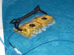 Dolphin 2x2 Pro Gyro Otomatik Havuz Robotu