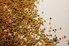 Pollen domestic dry (100 gr.)