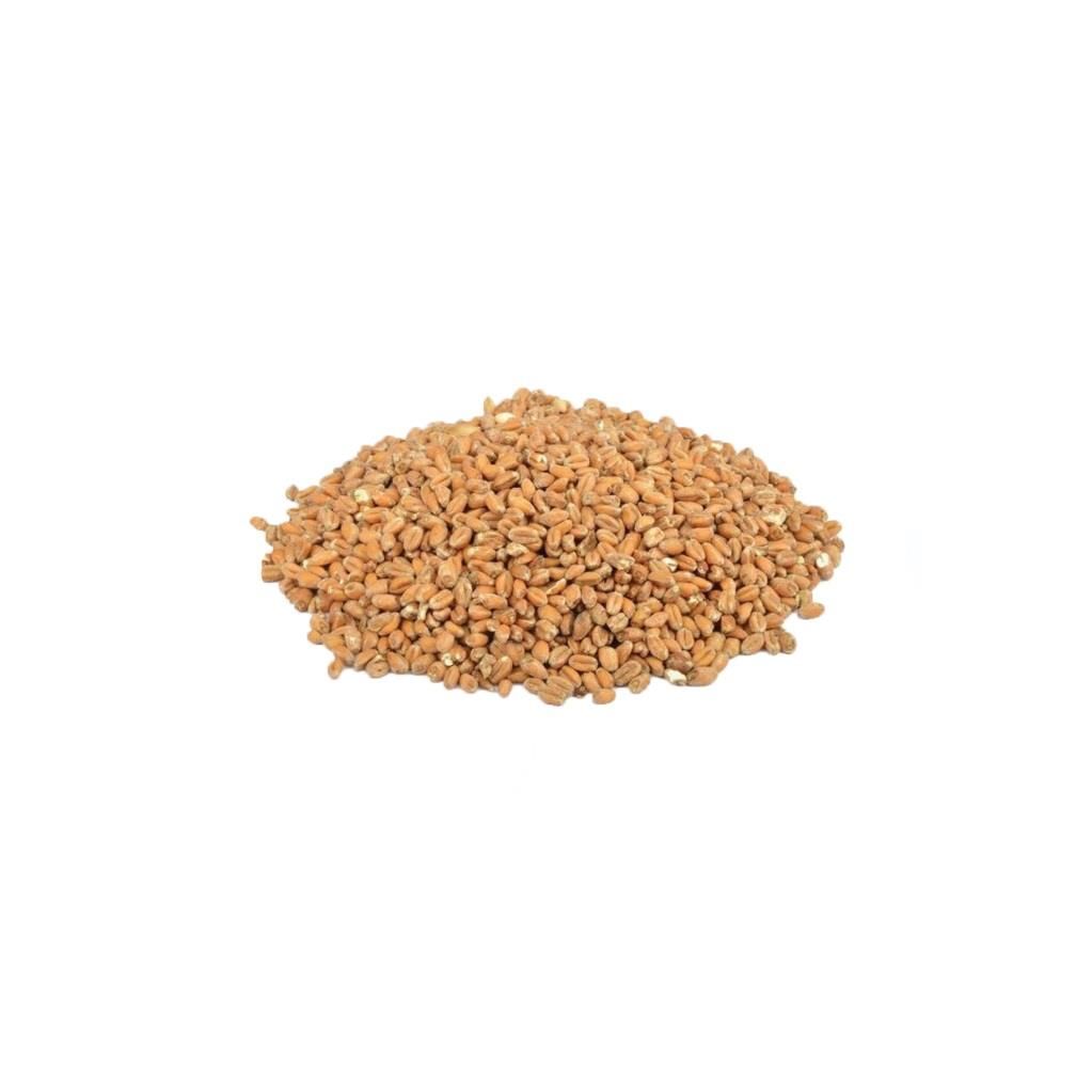 Thracian Buğday Maltı - 25 kg