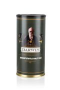 Darwin - British Golden - Şerbetçi Otlu Malt Özü