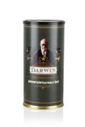 Darwin - British Golden - Şerbetçi Otlu Malt Özü