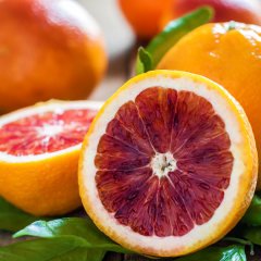 Tüplü Aşılı Meyve Verme Yaşında Kan Portakalı Fidanı