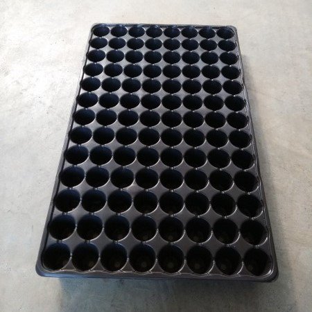Hızlı Çimlenme Sağlayıcı Viyol (104 Gözlü Paper Pot'lu) 5 adet