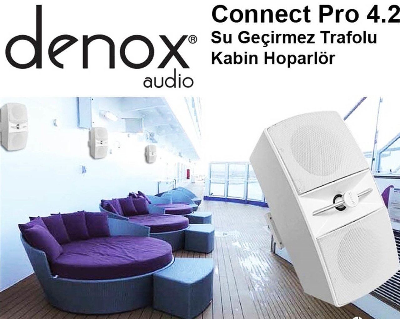 Denox CONNECT PRO 4.2 Pasif Kabin Hoparlör