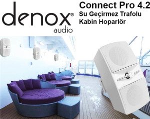 Denox CONNECT PRO 4.2 Pasif Kabin Hoparlör