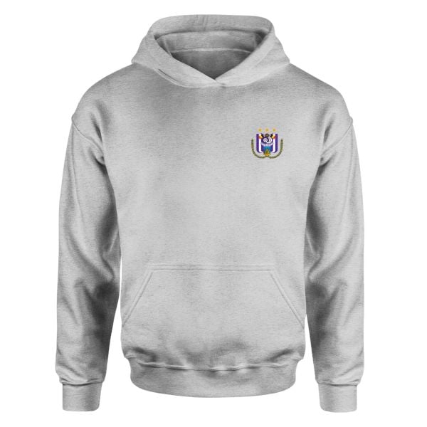 Anderlecht Gri Hoodie