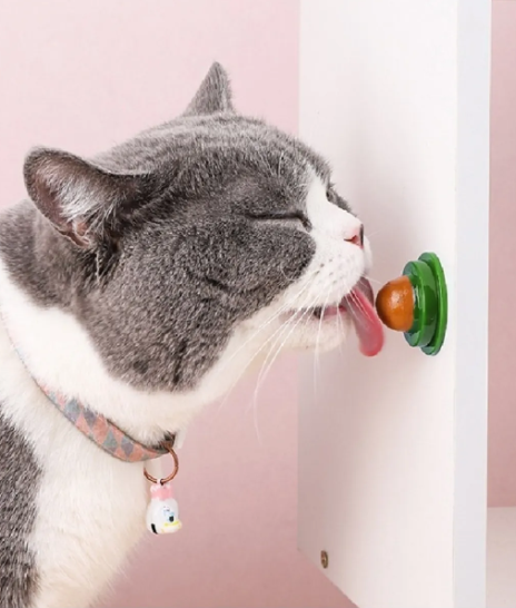 Kedi Vitaminli Şekeri Yalama Catnip Şekeri Ödül Oyuncağı Yalama Topu