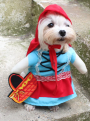 Kırmızı Başlıklı Kız Köpek Kostüm Large 10-18 Kg Boy : 36 Cm