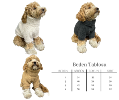 Kedi ve Küçük Irk Köpekler İçin 4'Lü Set Boğazlı Teddy Kıyafet