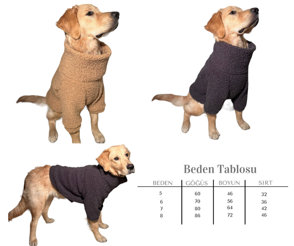 Büyük Irk Köpekler İçin 4'Lü Set Boğazlı Teddy Kıyafet