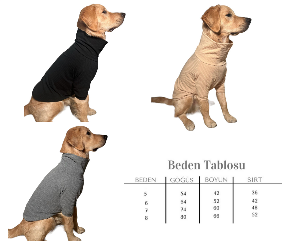 Büyük Irk Köpekler İçin 4'Lü Set Fitilli Kıyafet