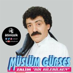 Müslüm Gürses - Zalim Bir Bilebilsen (Plak - 33 Devir)