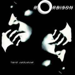 Roy Orbison Mystery Girl Double LP Plak
