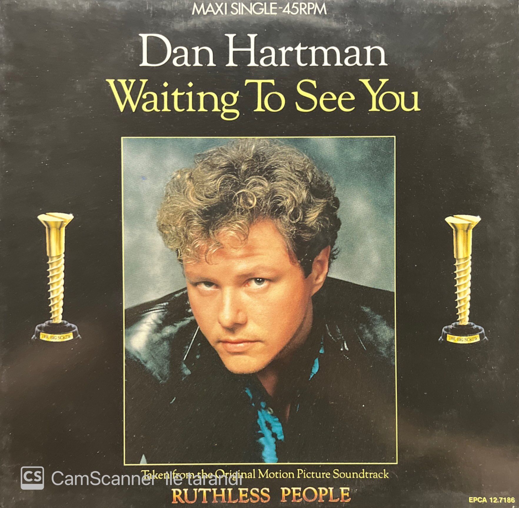 Dan Hartman Waiting To See You LP Plak