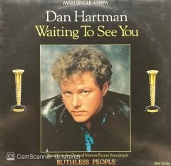 Dan Hartman Waiting To See You LP Plak