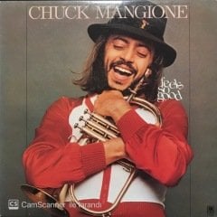 Chuck Mangione Feels So Good LP Plak