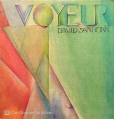 David Sanborn Voyeur LP Plak