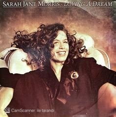 Sarah Jane Morris Loving A Dream 45lik Plak