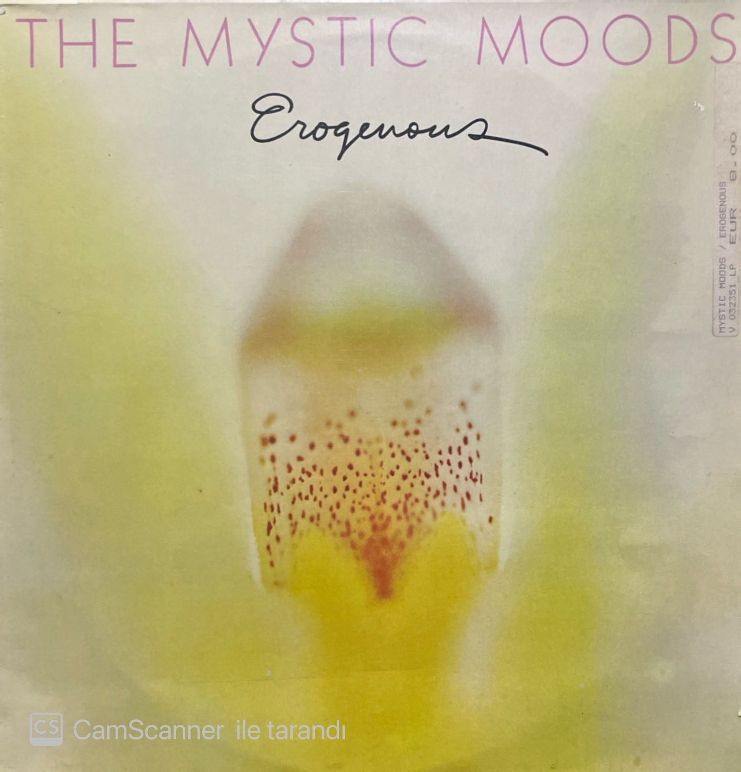 The Mystic Moods Erogenous LP Plak