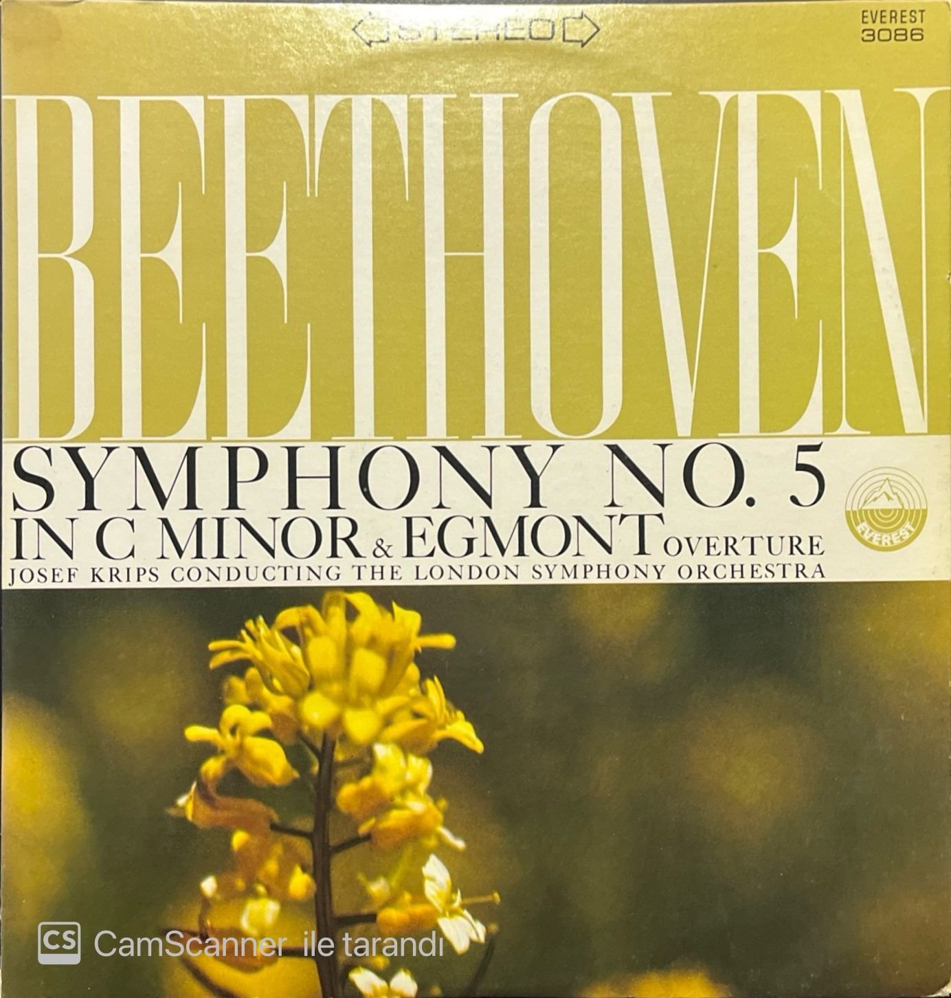 Beethoven Symphonie No.5 LP Plak