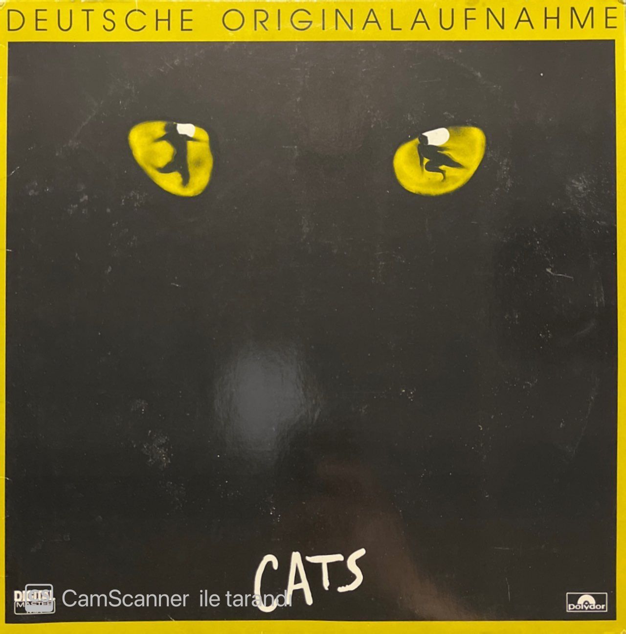 Cats Soundtrack LP Plak