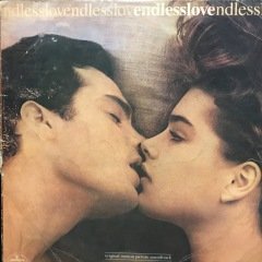 Diana Ross Lionel Richie My Endless Love LP Plak