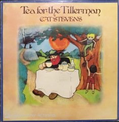 Cat Stevens Tea For The Tillerman LP Plak