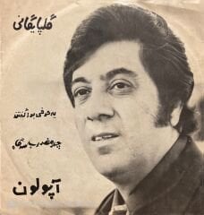 Golpayegani İran 45lik Plak