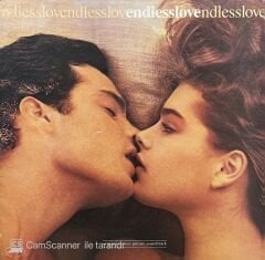 Endless Love Soundtrack LP Plak