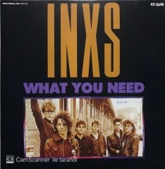Inxs  What You Need Maxi Single LP Plak