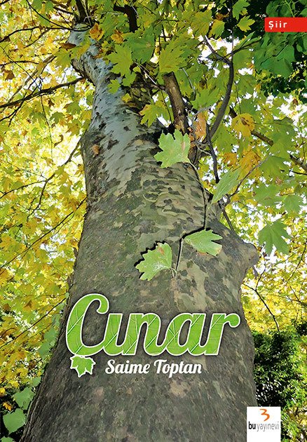 Çınar / Saime Toptan