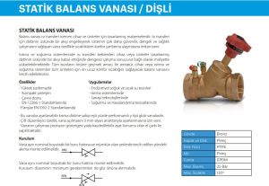 Ayvaz Balans Vanası / Statik Tip / Dişli 11/2''