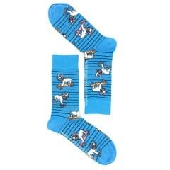 Kay-Kay'lı Köpek Desenli Mavi Renkli Çorap