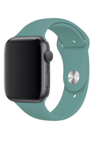 Apple Watch Uyumlu Silikon Kordon Kaktüs Yeşili